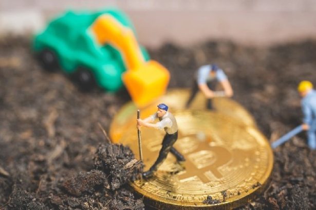 cryptonyte