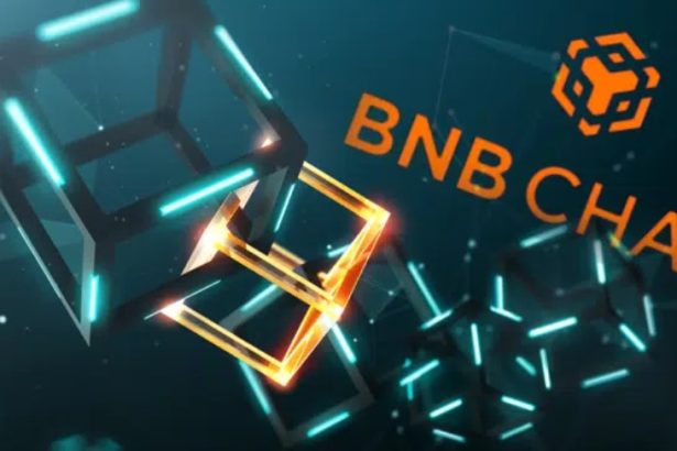 Une foule s'est immergée dans BNB Chain, le réseau créé par Binance