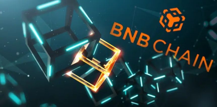Une foule s'est immergée dans BNB Chain, le réseau créé par Binance