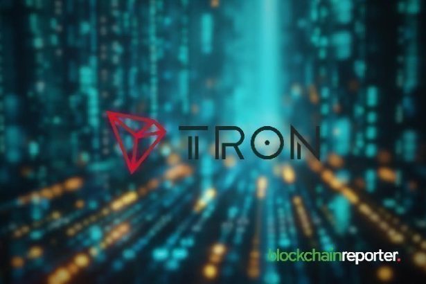 cryptonyte
