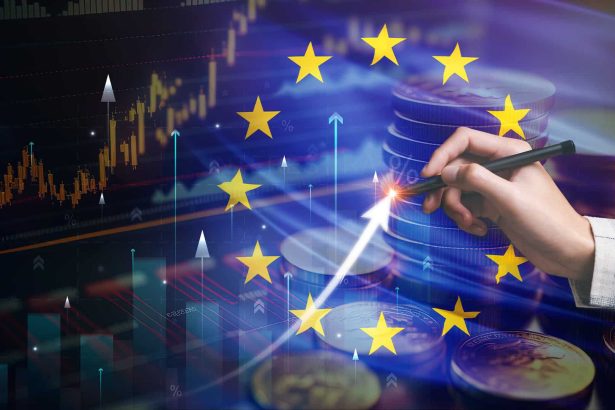 En Europe, ils avertissent les investisseurs en crypto-monnaie de la portée limitée de MiCA