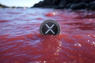 Quels seront les prochains supports du prix du XRP si la baisse se poursuit ?