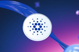 Cardano Chain has arrived in your DeFi Wallet