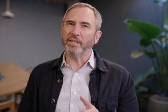 « Ne laissons pas la perfection tuer le progrès des cryptomonnaies »