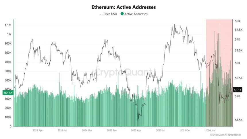Adresses actives Ethereum | Source : CryptoQuant